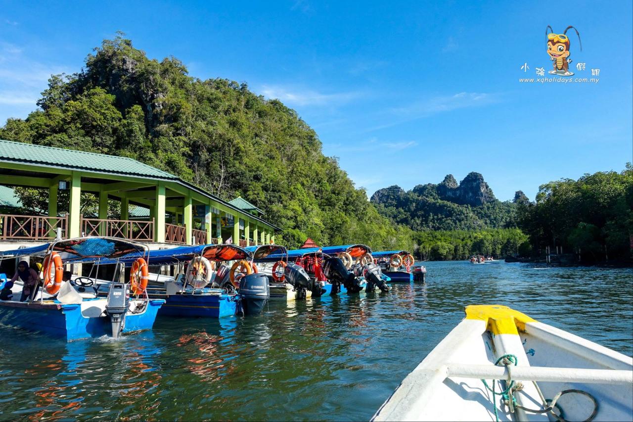 Jelajahi Ekosistem Pesisir yang Menakjubkan: Mangrove Tour Langkawi